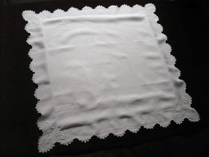 Pair of luxurious pillow shams, Monogram: FE