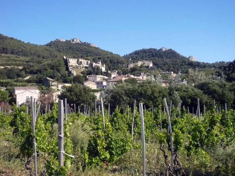 Gigondas and Dentelles de Montmirail